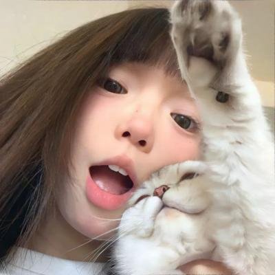 羔羊医生